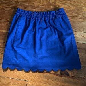 J Crew Skirt
